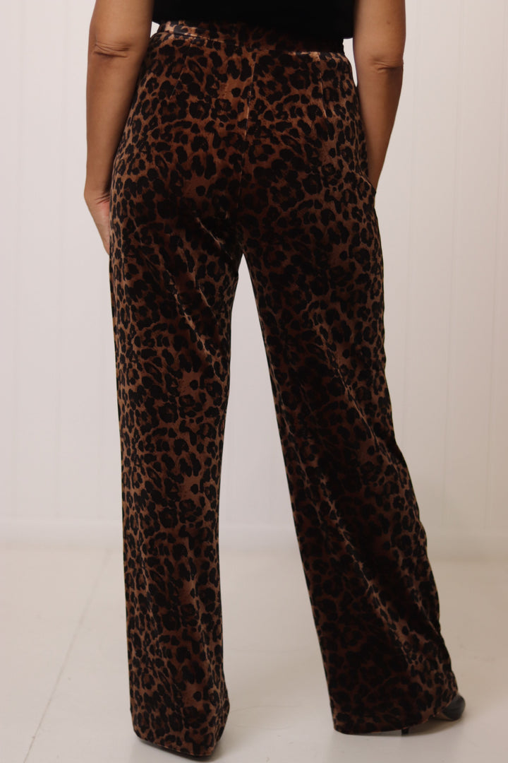 Jets Velvet Pant